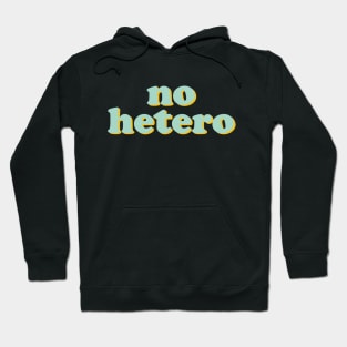 no hetero Hoodie